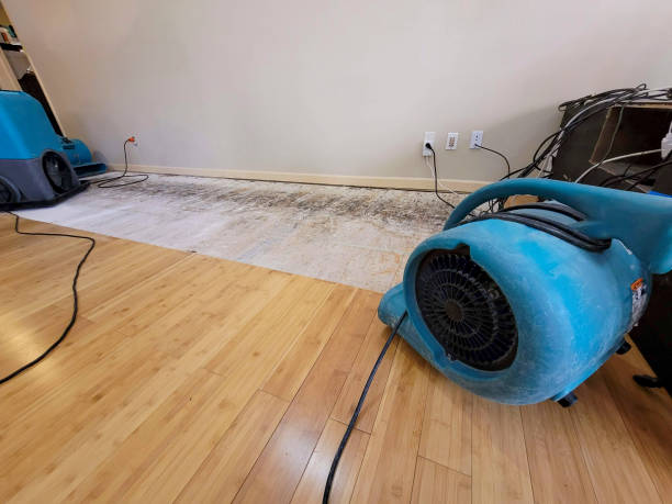 Professional Sewage Cleanup technician working in East Elmhurst, NY